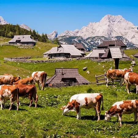 Cozzy Near Ljubljana