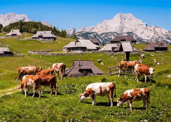 Cozzy Near Ljubljana